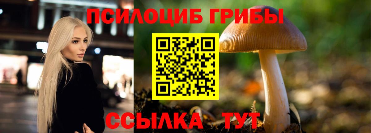 Галлюциногенные грибы Psilocybine cubensis Мелеуз